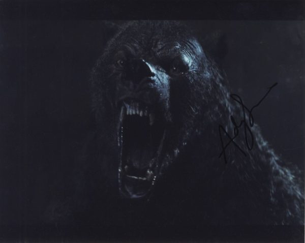 andy serkis signed the jungle book photo blue the bear shanks autographs