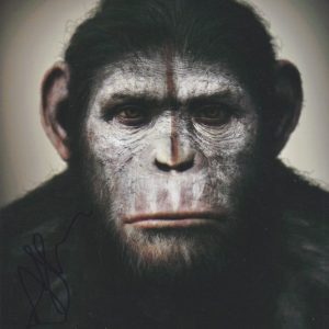 andy serkis signed Ceasar Planet of The Apes photo .shanks autographs