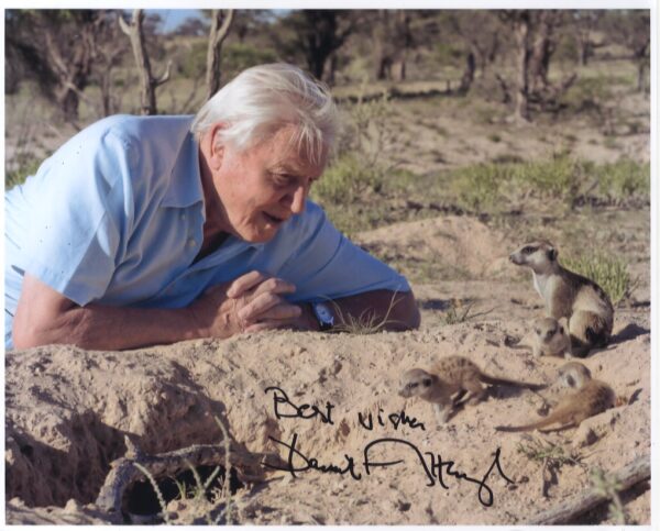 sir david attenborough signed 8x10 photo