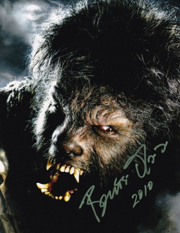 benicio Del Toro signed 8x10 photo.shanks wolfman autographs