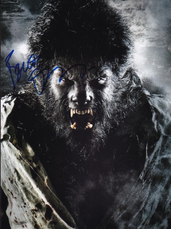 benicio Del Toro signed 8x10 photo.shanks autographs Wolfman