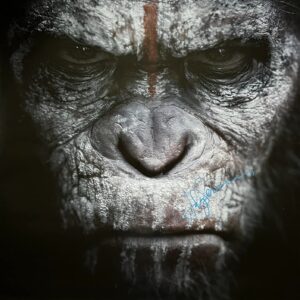 Dawn of the planet of the apes andy serkis signed original double sided poster.shanks autographs