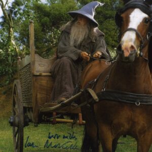 Lord of the rings ian mckellen signed 11x14 photo gandalf lord of the rings , shanks autographs