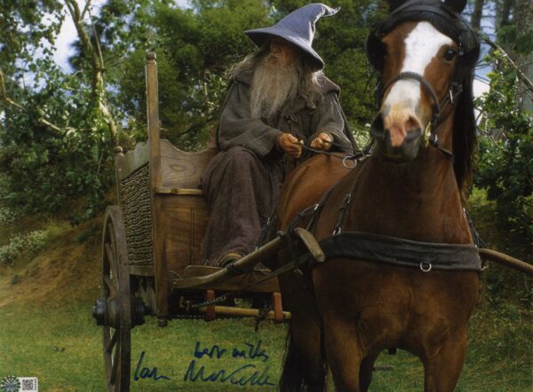 Lord of the rings ian mckellen signed 11x14 photo gandalf lord of the rings , shanks autographs