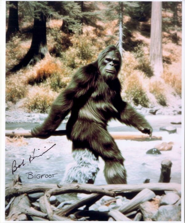 bob heironimus signed photo, bigfoot 1967. shanks autographs
