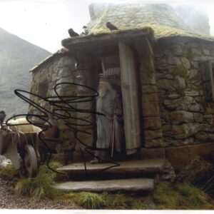 michael gambon signed harry potter photo, professor dumbledore