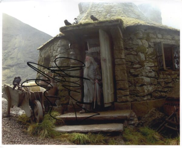 michael gambon signed harry potter photo, professor dumbledore