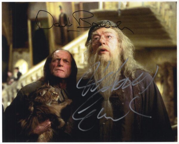 david bradley michael gambon signed harry potter photo, professor dumbledore