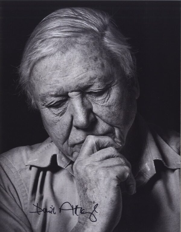 David Attenborough signed photo.shanks autographs