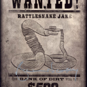 bill Nighy signed photo